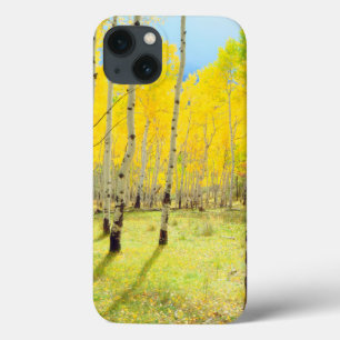 Herbstfarben von Espen 4 Case-Mate iPhone Hülle