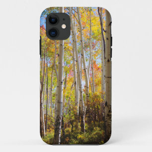 Herbstfarben von Espen 5 iPhone 11 Hülle