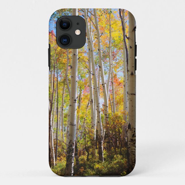 Herbstfarben von Espen 5 Case-Mate iPhone Hülle (Rückseite)