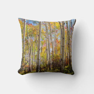 Herbstfarben von Espen 5 Kissen