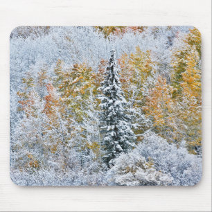 Herbstfarben von Espen & Schnee Keebler Pass Mousepad