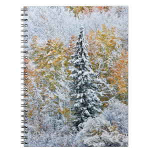 Herbstfarben von Espen & Schnee Keebler Pass Notizblock