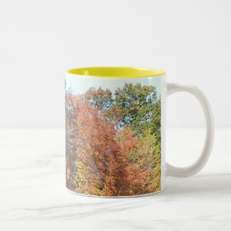 Herbstfarben Zweifarbige Tasse