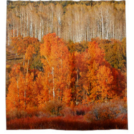 Herbstfarbenaspens Kolob Zion Duschvorhang