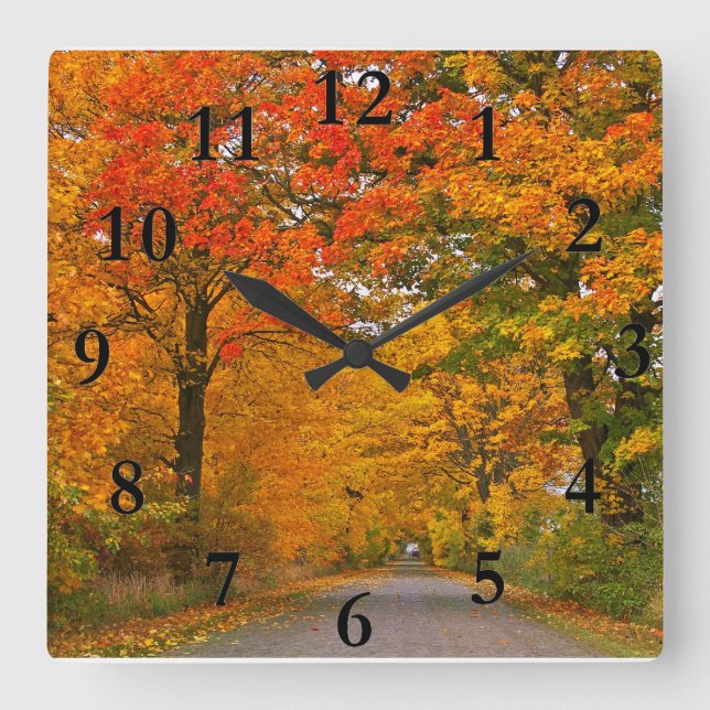 Herbstfarbene Bäume Quadratische Wanduhr (Vorderseite)