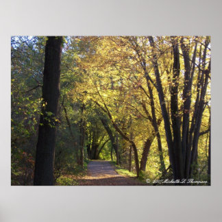 Herbstfarbene Trail Canvas Print Poster