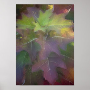 Herbstfarbener Eichenholz Hydrangea Poster