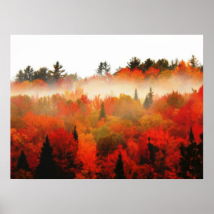 Herbstfeld Adirondacks Bäume Landschaft Poster