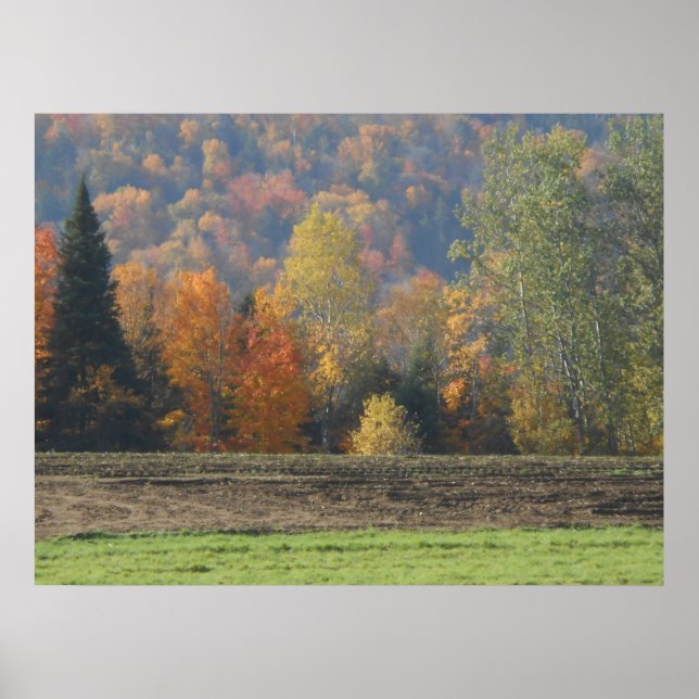 Herbstfeld Adirondacks Bäume Landschaft Poster (Vorne)
