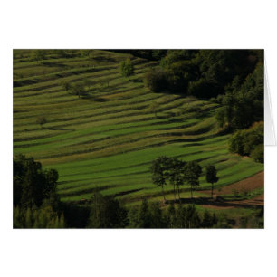 Herbstfelder, Prem, Slowenien