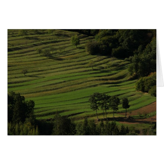 Herbstfelder, Prem, Slowenien (Vorderseite (Horizontal))