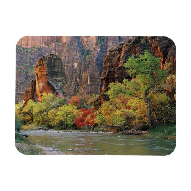 Herbstfolien entlang der Jungfrau in der Nähe des  Magnet (Horizontal)