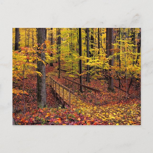 Herbstfußbrücke, Postkarte (Vorderseite)