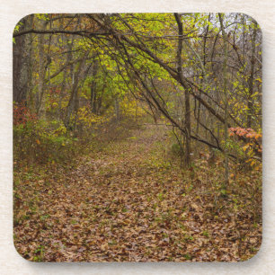 Herbstgang Getränkeuntersetzer