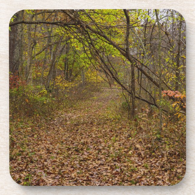 Herbstgang Getränkeuntersetzer (Vorderseite)