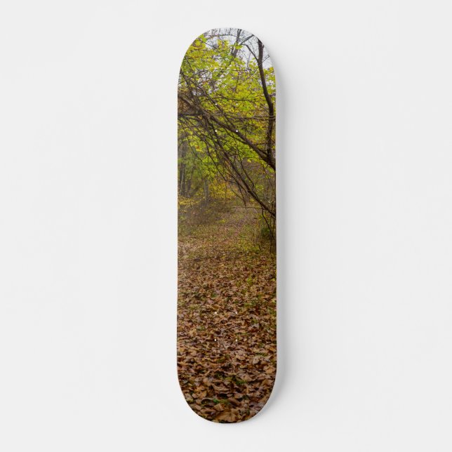 Herbstgang Skateboard (Vorne)