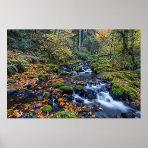 Herbstgänge entlang Gorton Creek Poster