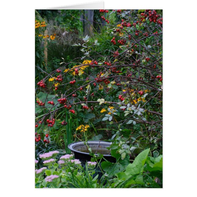 Herbstgarten (Vorne)