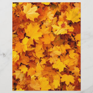 Herbstgelbe Ahornblätter