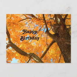Herbstgelbes Ahornbaum Foto Geburtstag Postkarte