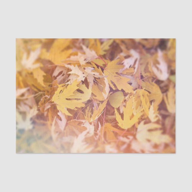 Herbstgelbes Ahornleaf Seidenpapier (Vorderseite)