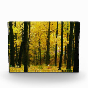 Herbstgelbwald Fotoblock