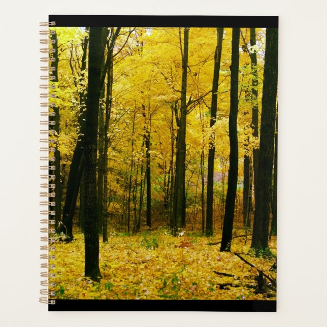 Herbstgelbwald Planer (Vorderseite)