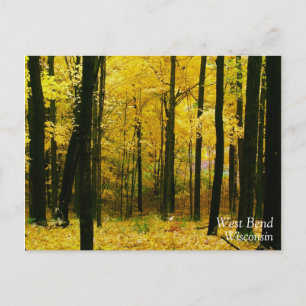Herbstgelbwald Postkarte