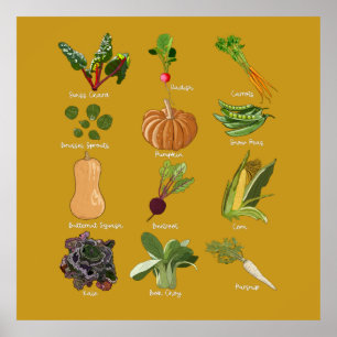 Herbstgemüse Ernte Poster