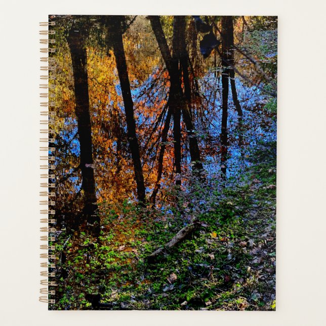Herbstgewässer Planer (Vorderseite)