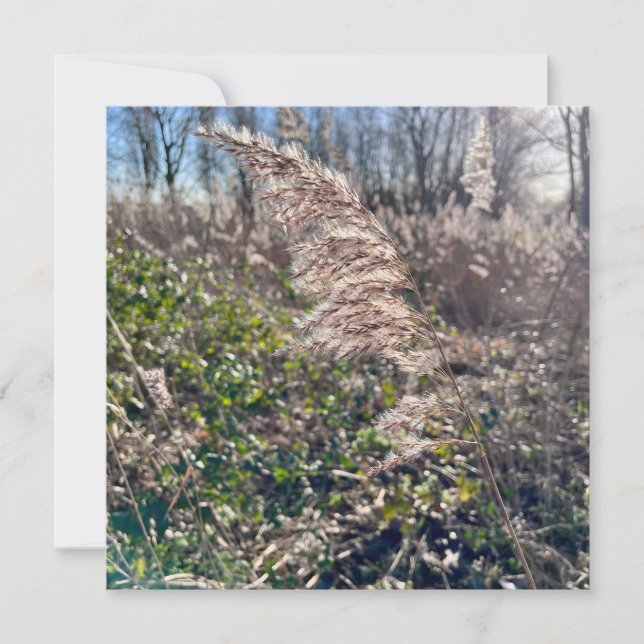 Herbstglück.. Einladung (Vorderseite)