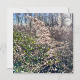 Herbstglück.. Einladung