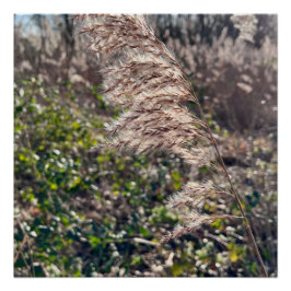 Herbstglück.. Poster