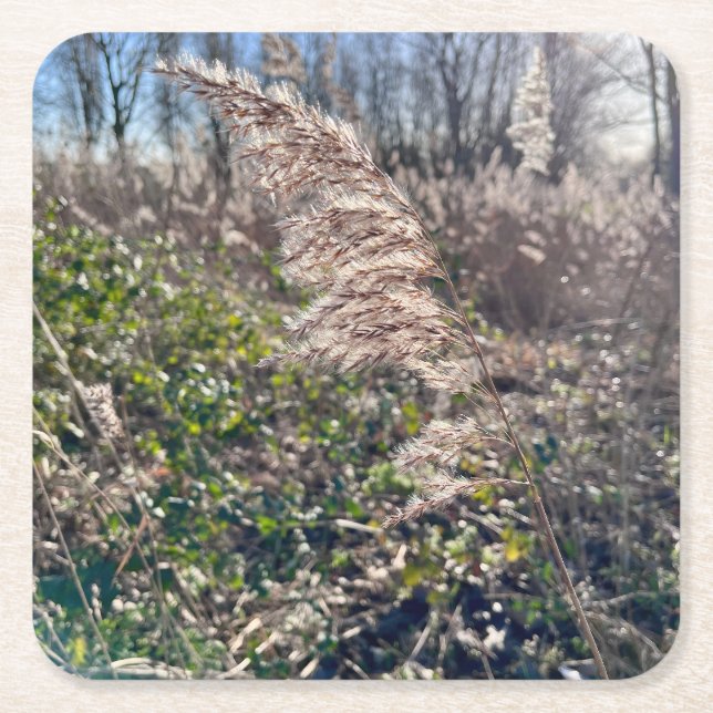 Herbstglück.. Rechteckiger Pappuntersetzer (Vorderseite)
