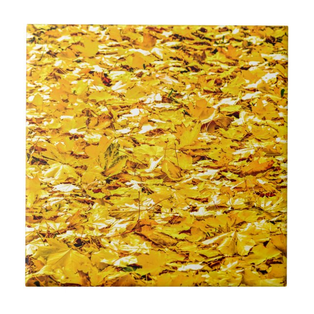 Herbstgold Fliese (Vorderseite)