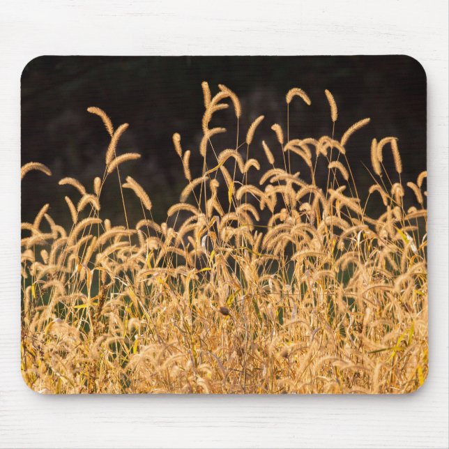 Herbstgras Mousepad (Vorne)