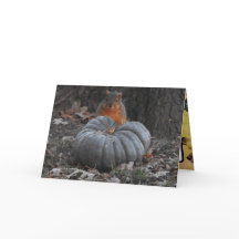 Herbstgrüße | Funny Eichhörnchen Eating Pumpkin