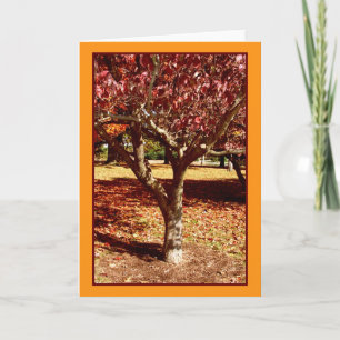 Herbstgrüße Karte