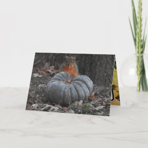 Herbstgrüße   Lustiges Eichhörnchen beim Kürbisess Karte