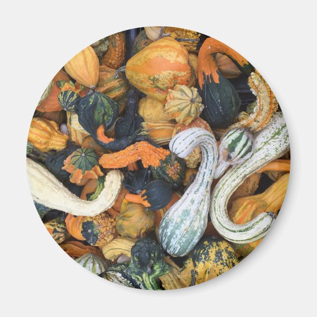Herbstgürtel Magnet (Vorne)