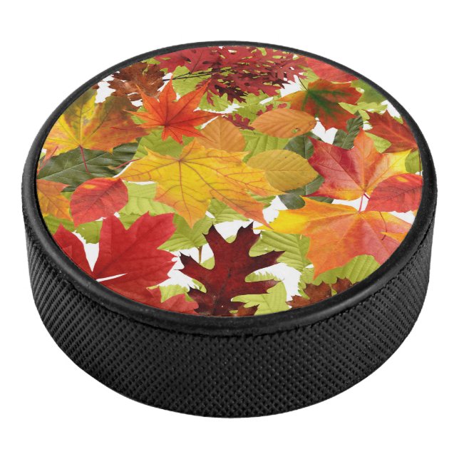 HerbstHerbstlaube Eishockey Puck (3/4)