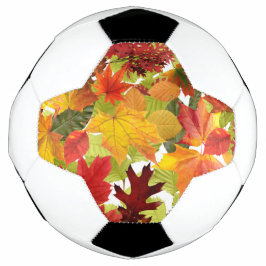HerbstHerbstlaube Fußball