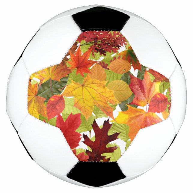 HerbstHerbstlaube Fußball (Vorderseite)