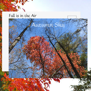 Herbsthimmel Bunte Herbstbäume Fotografie Postkarte