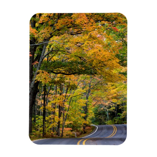Herbstkanopie auf dem Highway 41 Magnet (Vertikal)