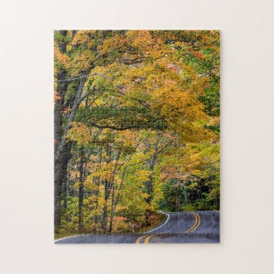 Herbstkanopie der Farbe auf der Autobahn 41 Puzzle