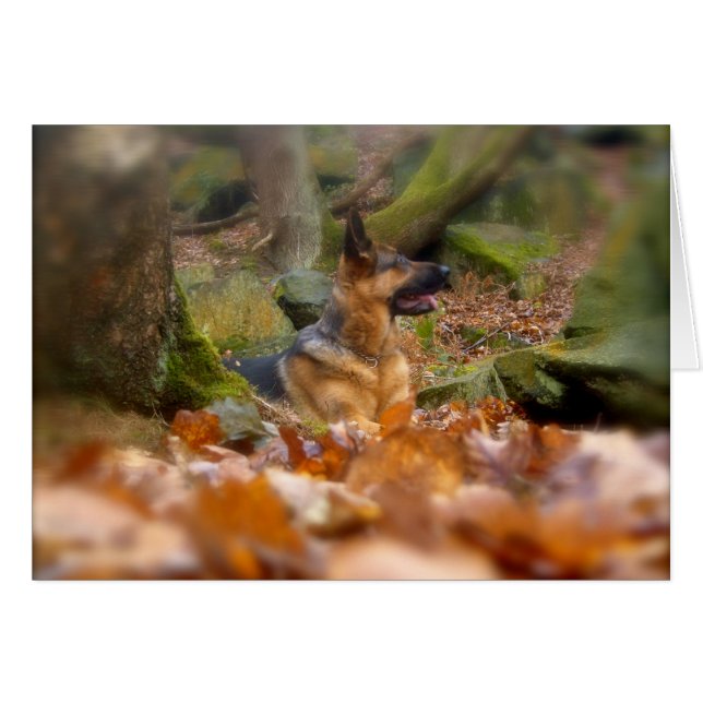 Herbstkarte (Vorderseite (Horizontal))