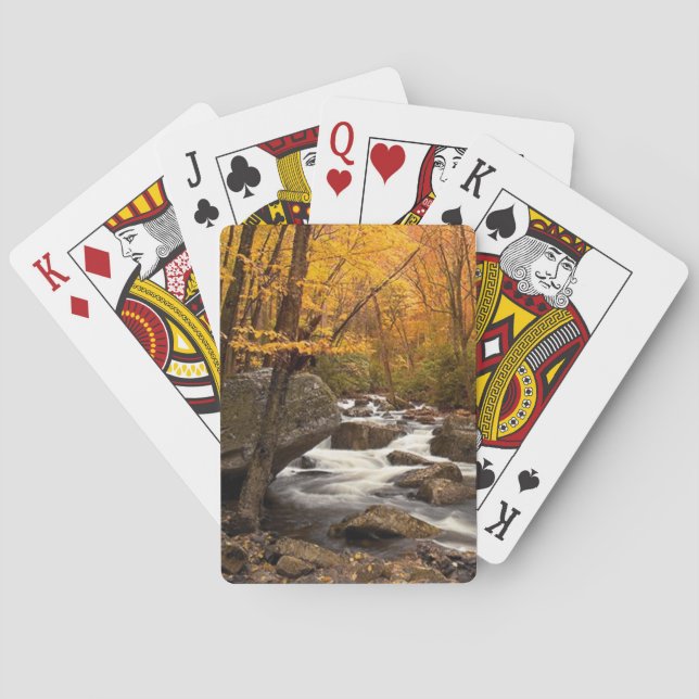 Herbstkaskade Spielkarten (Rückseite)