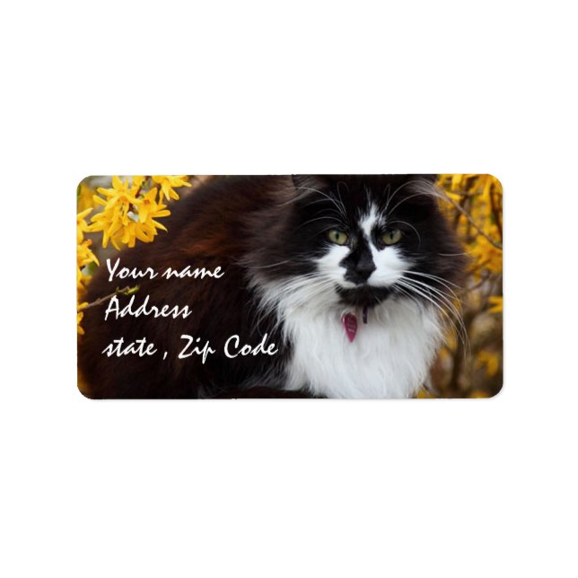 Herbstkatze Adressaufkleber (Vorne)