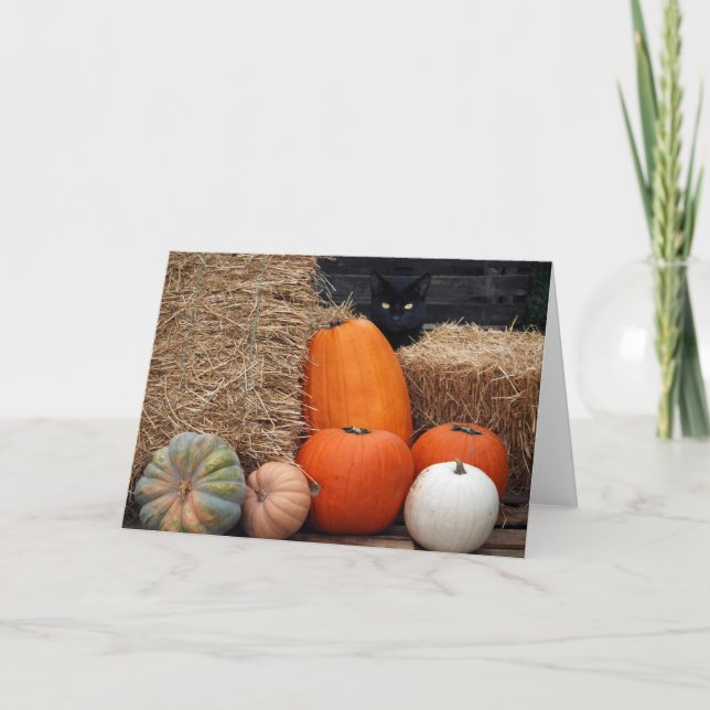 Herbstkatze Karte (Vorderseite)